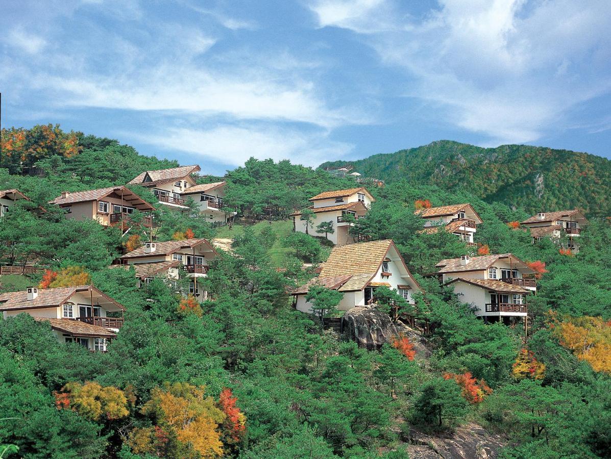 Club Es Jecheon Resort Chech'ŏn Εξωτερικό φωτογραφία